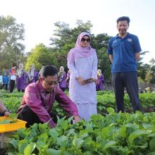 MAJLIS TUAI HASIL LAMAN LESTARI THUMBNAIL